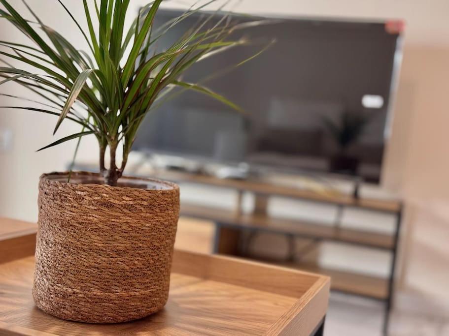Apartamento En Pleno Centro Con Aparcamiento Opcional Кордова Экстерьер фото